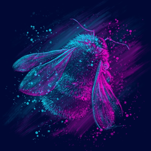 Meet your Posher, Allison - Picture 1 of 1